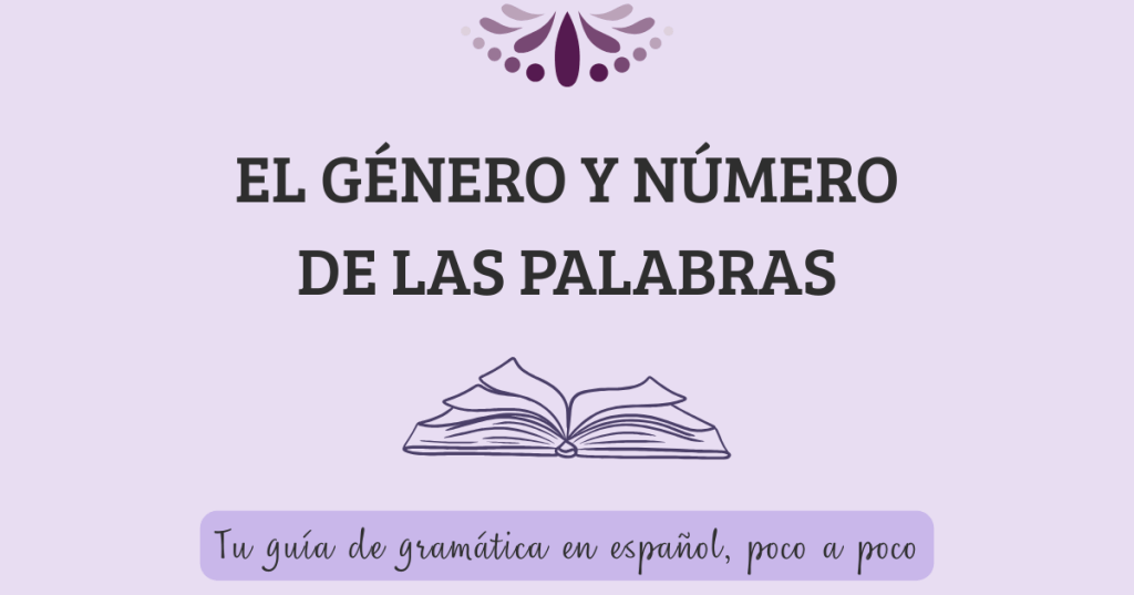 Reglas esenciales del género y número en español